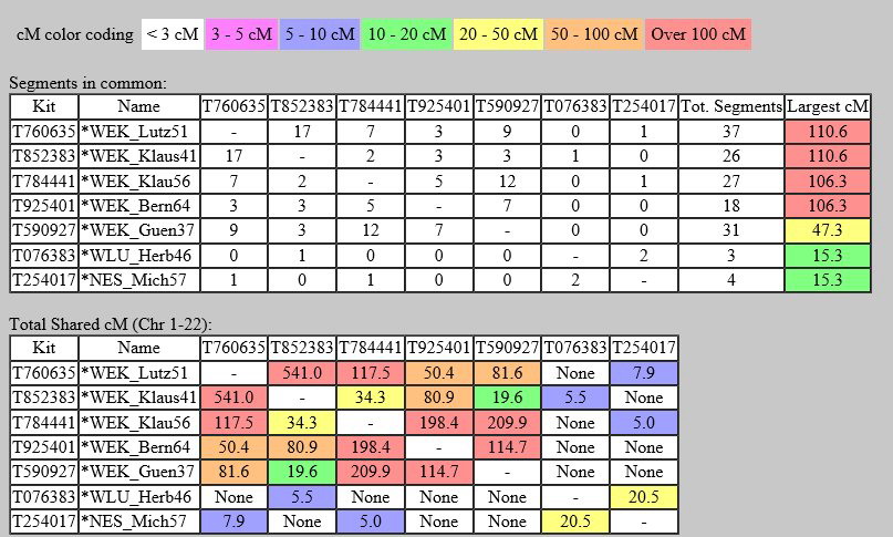 Grafik 4   -   Matrix verwandtschaftlicher Beziehungen